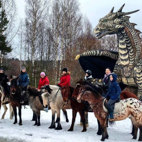 Конное путешествие в сердце Выборга — из Петербурга