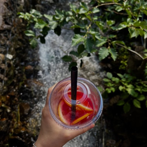 Молодёжный тур в Домбай: лёгкие треккинги, природные чудеса и отель 4* с видом на вершины