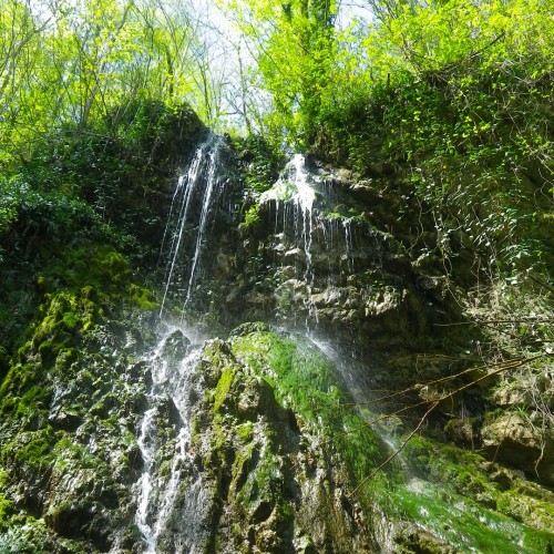 Дни и ночи в дивном Сочи: город и окрестности