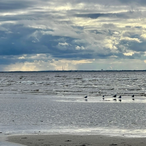 Из Петербурга в Комарово: обитель муз и гениев (в уютной мини группе)