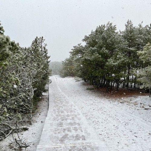 Замки, море и хомлины — лучшие места Калининградской области и дегустация на семейной сыроварне