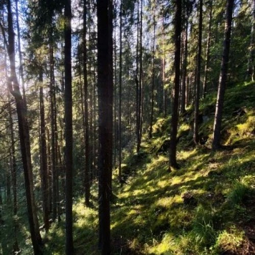 Автопутешествие по Карелии: топовые и секретные места, эксклюзивные отели и норвежские пейзажи