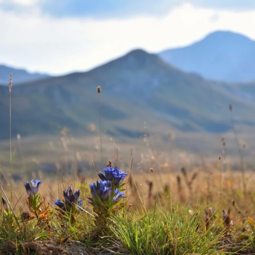 Путешествие в Адыгею: от пещер до самых до вершин