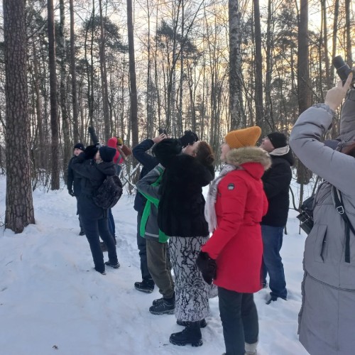 Птицы зимнего Петербурга