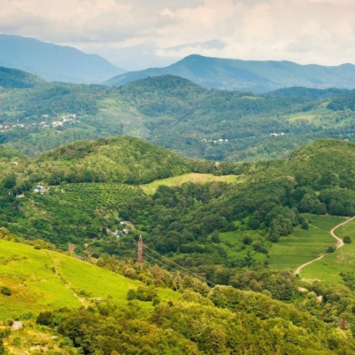 На лошадях по предгорьям Сочи: прогулки для новичков и опытных всадников