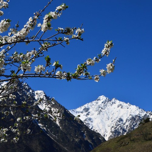 Треккинг в Цейском ущелье налегке с проживанием в гостинице (всё включено)