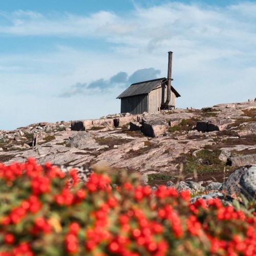 За атмосферой Арктики: тур из Мурманска в Териберку с дегустацией и прогулками по главным местам