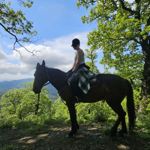 Приключения на лошадях в Сочи для новичков и опытных: по ущельям, долинам и лесам