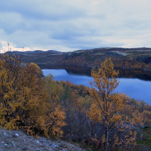 Главные места Кольского полуострова: Мурманск и Териберка