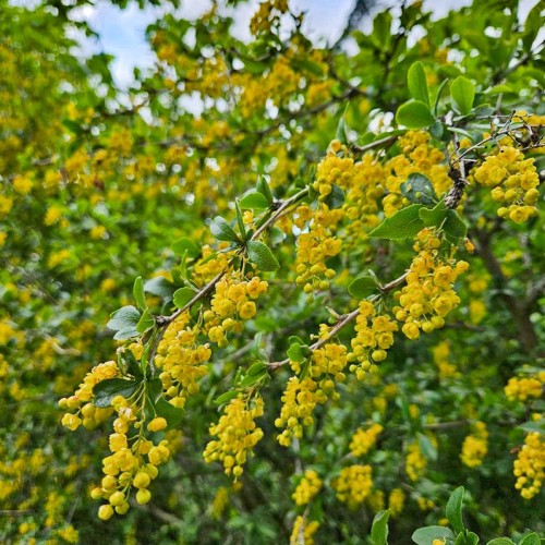 Весенний Архыз: треккинг налегке с проживанием в гостинице