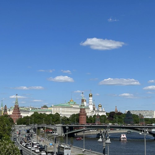 Васнецовы. От русской сказки к исторической летописи. Индивидуальная экскурсия