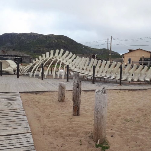 Индивидуально по Заполярью: Териберка, Мурманск и Ура-Губа