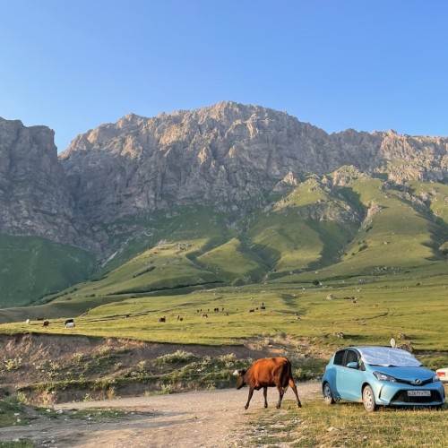 Природные жемчужины Домбая: в мини-группе по горам, озёрам и ущелью
