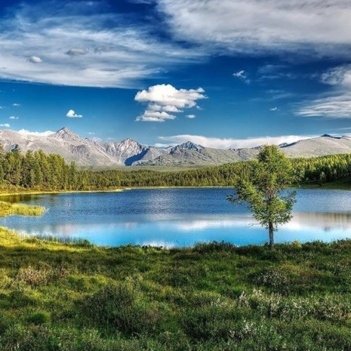 Алтайский отпуск: Телецкое озеро, живописные долины и другие знаковые места