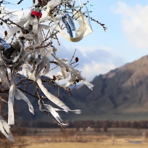 На Алтай за чудесами, энергией и видами (в сборной мини-группе)