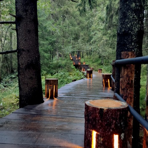 Свидание с Карелией (из Петербурга)