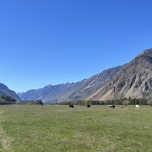 Я шагаю по Алтаю: лёгкий треккинг в горах, главные места и погружение в культуру