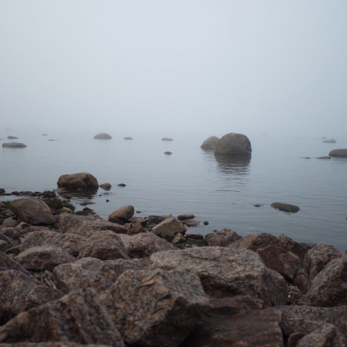 К форту «Красная горка» и «Андерсенграду» — из Петербурга