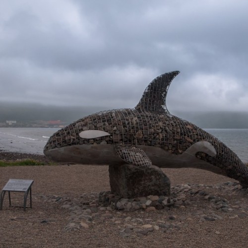 Колымские приключения: Магадан и окрестности в формате «всё включено»
