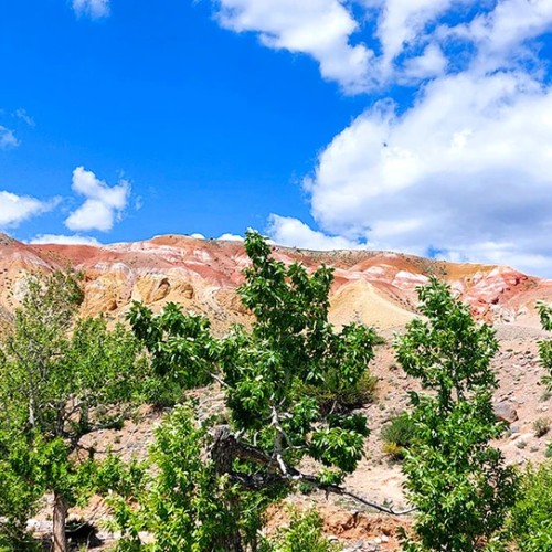К ледникам: треккинг налегке в ущелье Актру с проживанием на турбазе