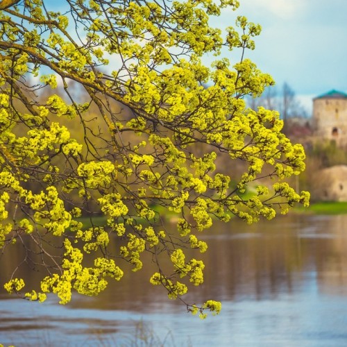 Очарование древности: Псков, его «затутырки» и окрестности