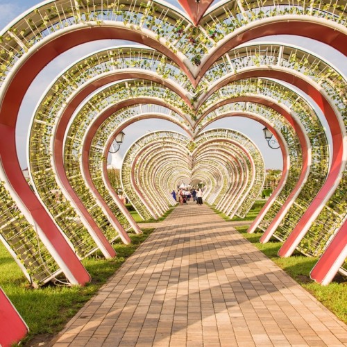 От старинных башен в горах до небоскрёбов: по Чечне с комфортом