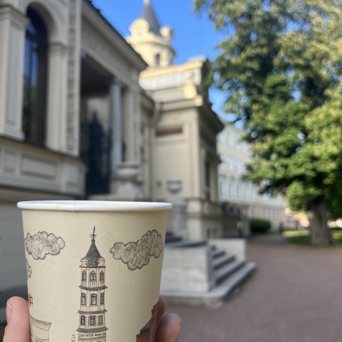 Великокняжеский Петербург: дворцы и судьбы