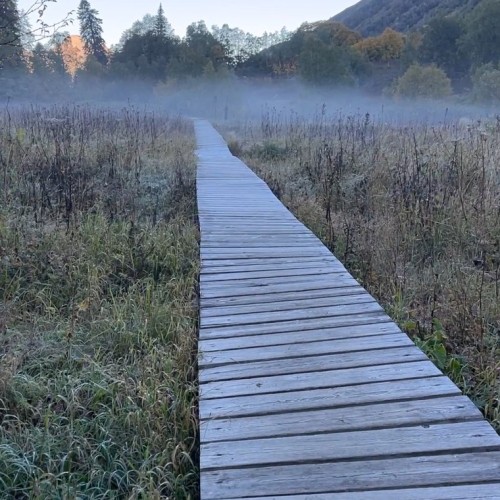 Поход в окрестностях Сочи: к озёрам Кардывач и Синеокое