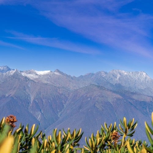 В Сочи солнечный уикенд