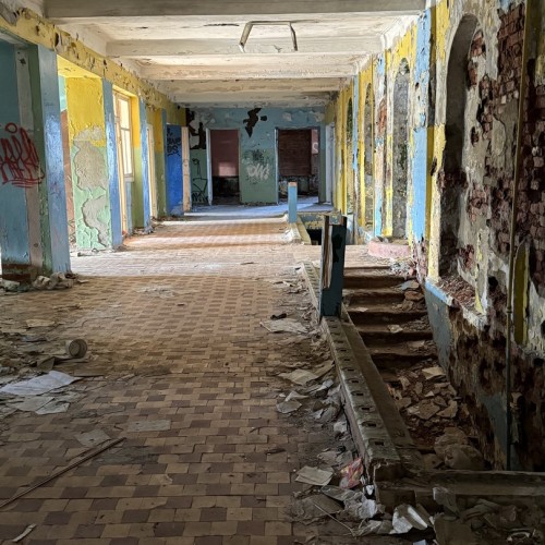 Экспресс-выезд в Териберку: гастрономия, северное сияние, главные места, хаски и олени