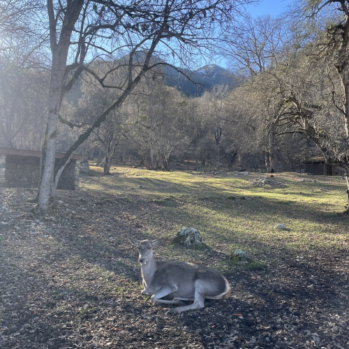 Небольшой компанией по Домбаю: от пещер до вершин и озёр