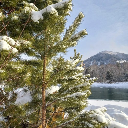 Горные перевалы и бирюзовые реки Алтая