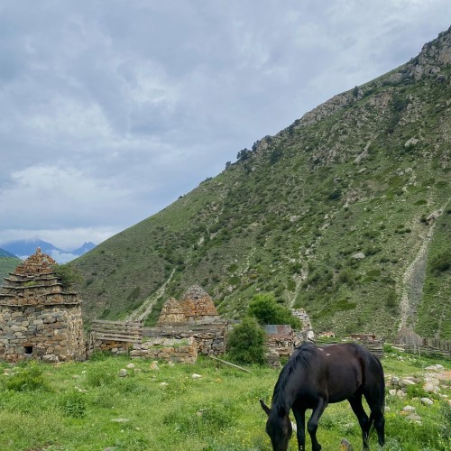 Кавказские каникулы: Северная Осетия, Грузия, Армения