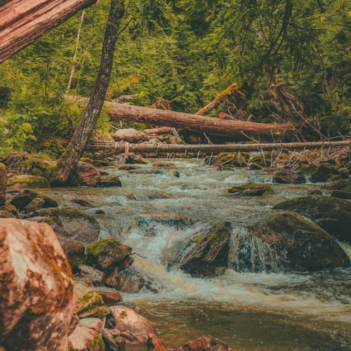 Гранд-тур по Алтаю: расширенный кольцевой маршрут