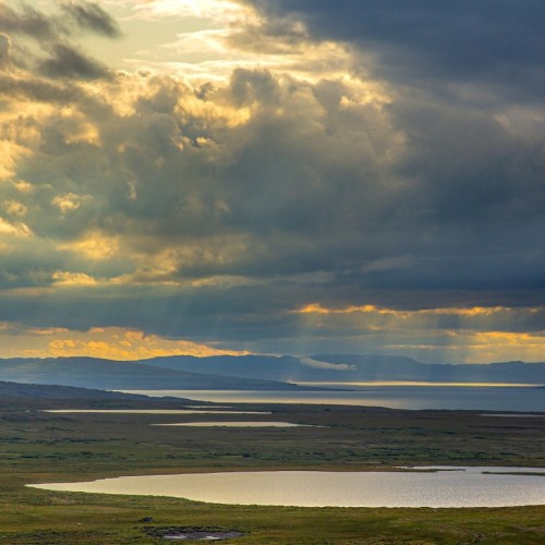 С фотографом на полуострова Рыбачий и Средний (в палатках): мастер-классы по съёмке океана и тундры