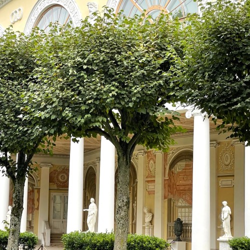 Из Петербурга в Царское Село и Павловск