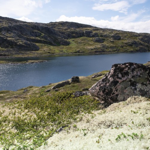 На выходные на Кольский: путешествие на полуострова Рыбачий и Средний с проживанием в кемпинге