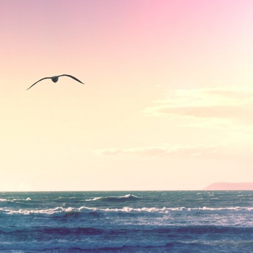 Манящий Сахалин и таинственный Итуруп