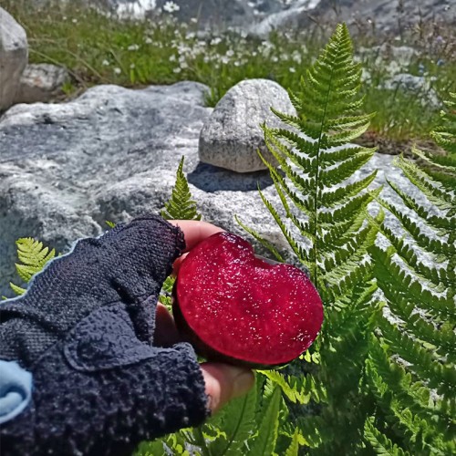 Треккинг налегке у подножия священной горы Уллу-Тау (комфорт размещения на выбор)