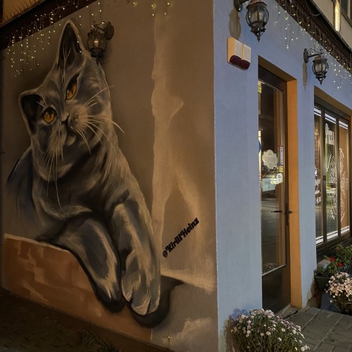 Время для себя: индивидуальное путешествие по балтийскому побережью