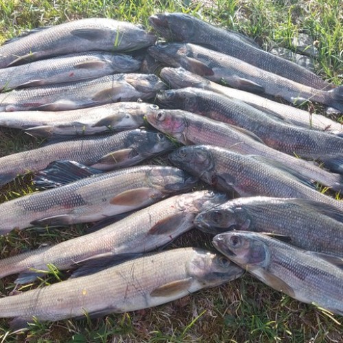 Подальше от цивилизации к озеру Хубсугул: индивидуальная поездка по Северной Монголии из Иркутска