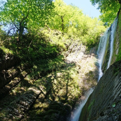 Лёгкий треккинг в субтропиках с проживанием в гостинице в Адлере