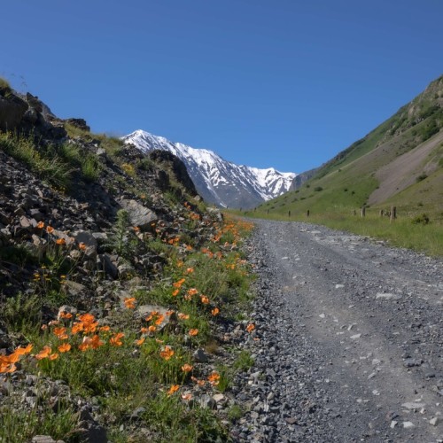 На джипах по заповедным местам Северной Осетии