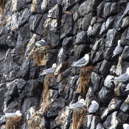 На джипе по Камчатке: восхождения, рыбалка, сплав и обеды на свежем воздухе (мини-группа)
