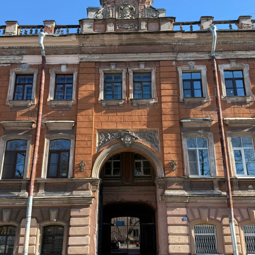 Балетные романы Романовых