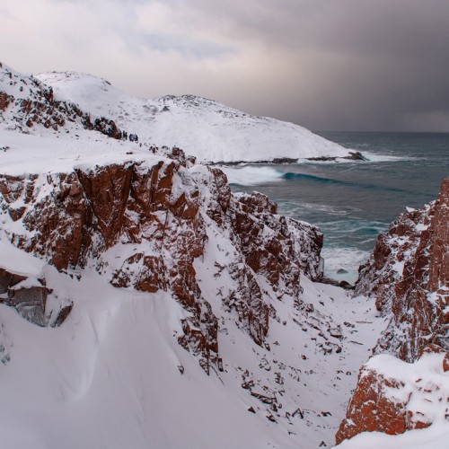 Новогодний отпуск в Териберке с праздничным ужином, арктическими блюдами и морскими деликатесами