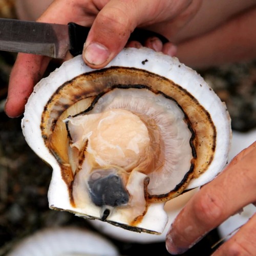 Сахалин с историей: автопутешествие-детокс с ночёвками в палатках на природе (индивидуально)