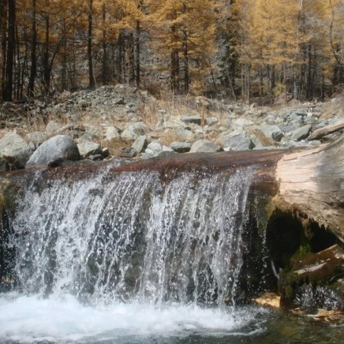 Алтайская кругосветка: на минивэне по кольцевому маршруту и топовым локациям