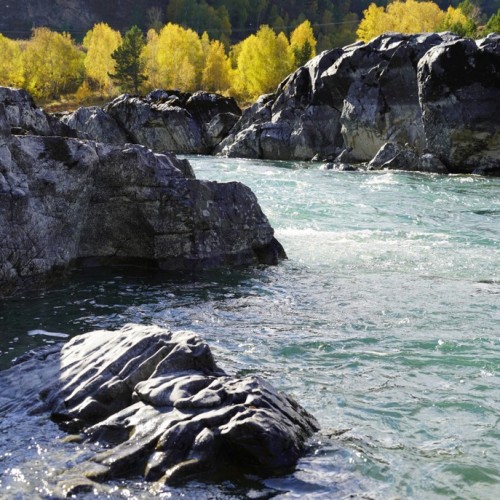 50 оттенков золота: путешествие по сентябрьскому Алтаю в мини-группе