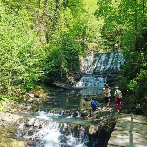 Лёгкий треккинг в субтропиках с проживанием в гостинице в Адлере